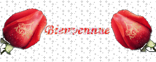 bonjour